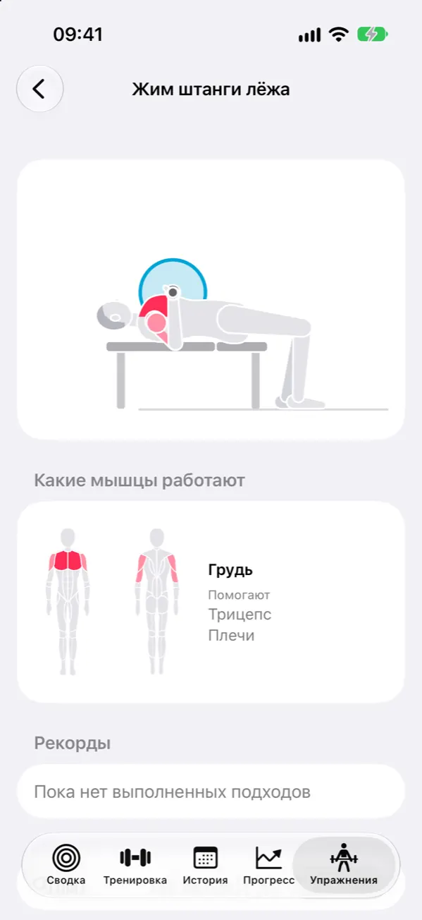 Упражнение «Жим штанги лёжа»: рисунок техники и работающие мышцы